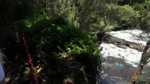 Sightseeing is on the agenda with Elsa today!