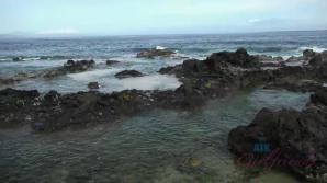 Lola enjoys a day out with Daddy.